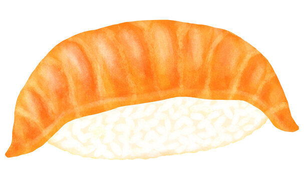 サーモンのお寿司のイラスト
