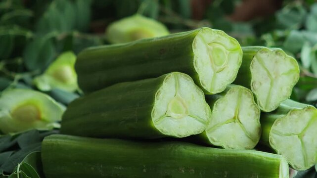   Fresh moringa pods, an herb.