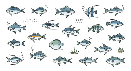 Fototapeta premium Collection of various fish species swimming in clear water.