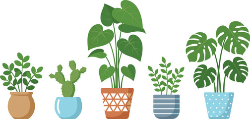 Collection of Diverse Houseplants in Stylish Decorative Pots Featuring Monstera and Cactus for Modern Home Interior Design and Botanical Vector Illustration Projects © MdNazmul