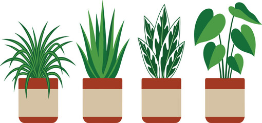 Stylish Indoor Houseplant Collection Featuring Spider Plant, Aloe Vera, Snake Plant, and Philodendron in Modern Pots for Botanical Interior Decor Designs © MdNazmul