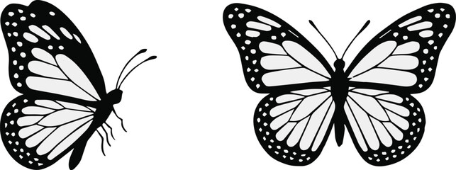 butterfly silhouette side and top view vector illustration pack assets © AIcon Star