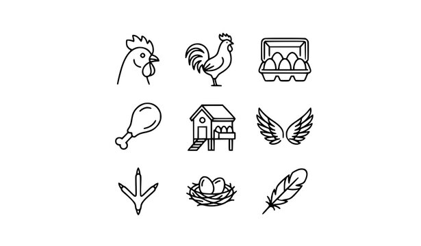Modern chicken outline icon collection with poultry farm symbols for web and UI design isolated on white
