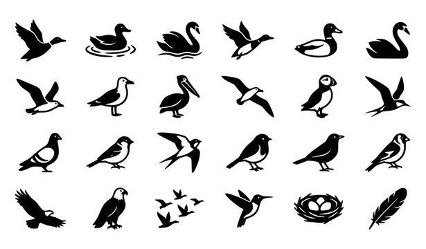 Editable bird and duck silhouette icon collection with flying wildlife and marine bird vector shapes