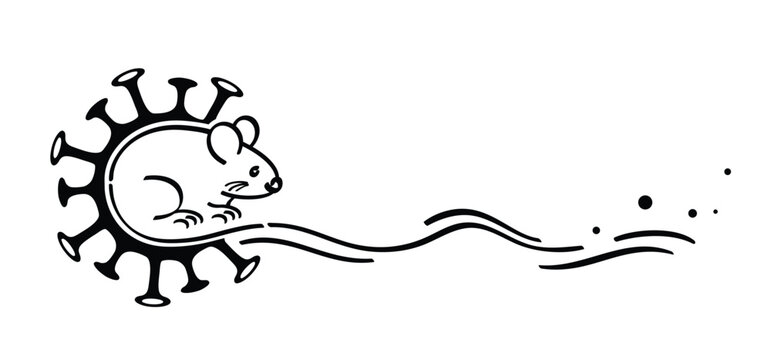 Hantavirus infections or hanta virus. Hantavirus, official name orthohantaviruses, are transmitted to humans through the urine, feces, and saliva of rats and mice. Hantaviruses. HPS symptoms.