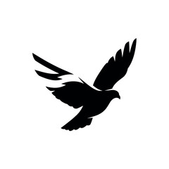 Fototapeta premium Silhouette of a Dove in Flight.