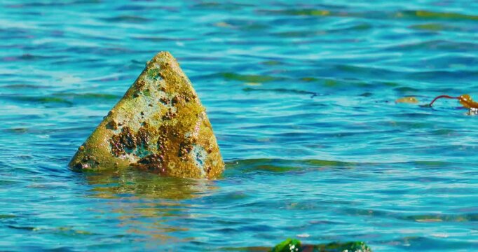 Triangular barnacle covered rock in blue ocean water