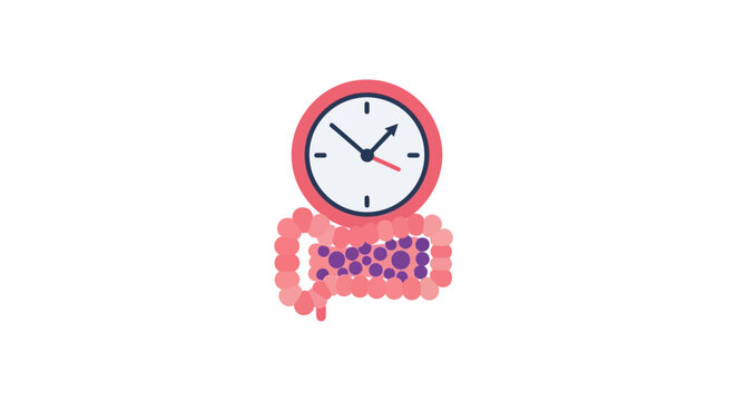 Digestive Health Clock Icon: Intestinal Time and Gut Function Concept