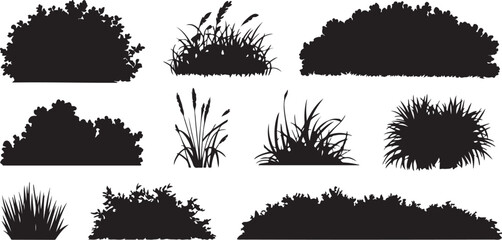 set of bush grass shrub silhouette vector transparent background. silhouette vector illustration © Misho x Mamun