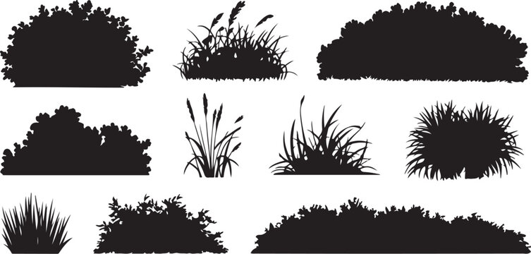 set of bush grass shrub silhouette vector transparent background. silhouette vector illustration
