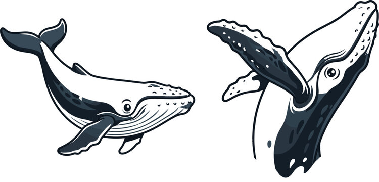 Cartoon Illustration of Two Humpback Whales Swimming on a White Background