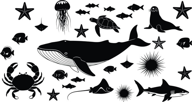 Marine life silhouette vector illustration, ocean species artwork, sea creature graphic design, underwater ecosystem emblem, aquatic nature symbol, flat vector illustration