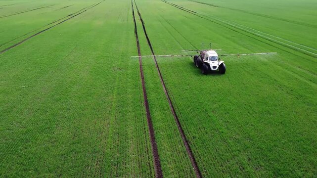 Farmer works at tractor. Specialized agricultural tractor sprays grain crops with pesticides, insecticides. Drone flies around tractor on rubber pads. Agricultural machinery working in field in spring