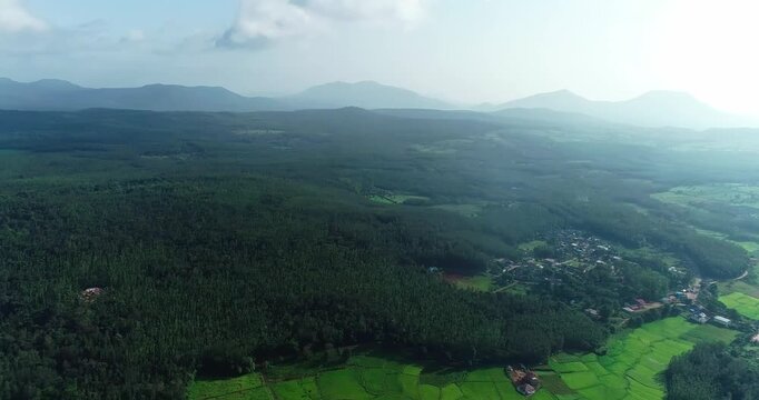 Aerial view of lush green forest under blue sky with scattered white clouds