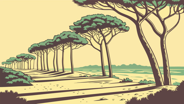 Coastal landscape with stone pine trees casting long shadows on a sandy beach at sunset