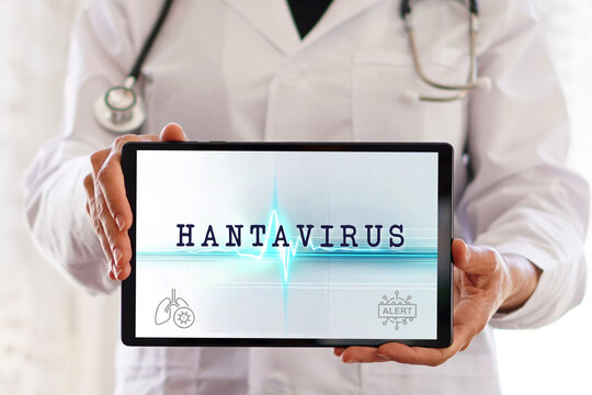 Hantavirus health alert. female doctor showing medical message on her tablet