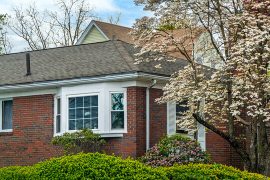 Typical residential architecture in Boston featuring a red brick facade and white bay window framed by white spring Dogwood blossoms