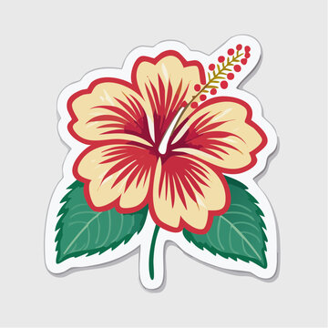 Stylized Hibiscus Flower Illustration
