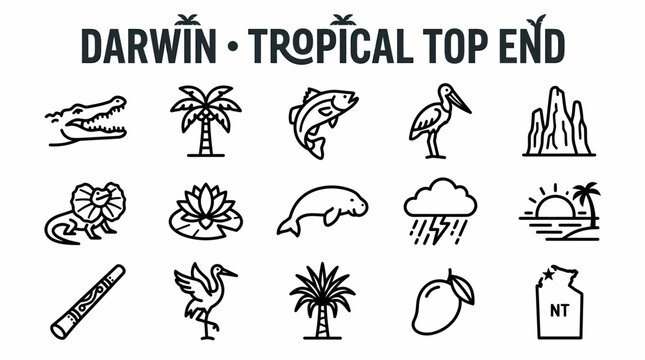 Darwin Tropical Top End Icons: Crocodile, Palm, Fish, Bird, Rocks