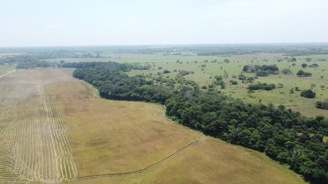 Aerial drone view of farmland and forest landscape in Casanare, Colombia, rural countryside and agricultural fields