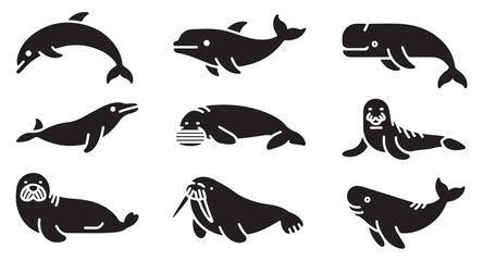 Marine mammals icons featuring whales seals walrus and dolphins for educational biology use. © Ms