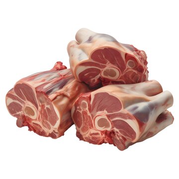 Fresh oxtail cuts with realistic bone on white background for butcher shop