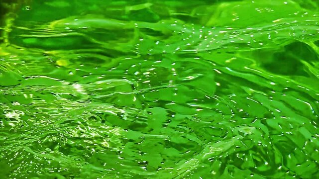 Close-up footage of vibrant green algae texture moving in water