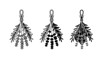 Dried Herb Bundles Vector Set, Botanical Elements Collection, Rustic Floral Decor Illustrations, Herbal Medicine Ingredients Graphics © Md