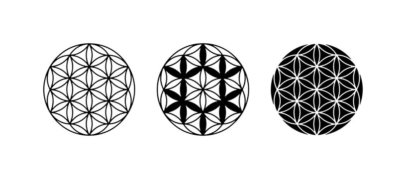 Sacred Geometry Flower of Life Vector Icons, Geometric Patterns, Spiritual Symbols, Metaphysical Designs, Cosmic Art, Mystical Graphics