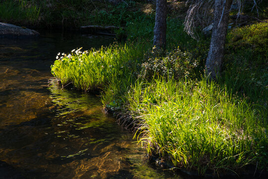 Canada, BC, Keremeos.  Cathedral Lakes Provincial Park, Quiniscoe Lake
