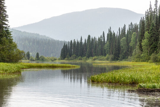 Canada, BC, Bowron Lake Provincial Park.  Water canal at the end of Indianpoint Lake.  Bowron Lakes, on the western slopes of the Cariboo Mountains are a popular canoe circuit.