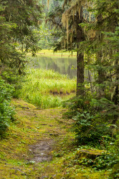 Canada, BC, Bowron Lake Provincial Park.   Portage between Indianpoint Lake and Isaac Lake