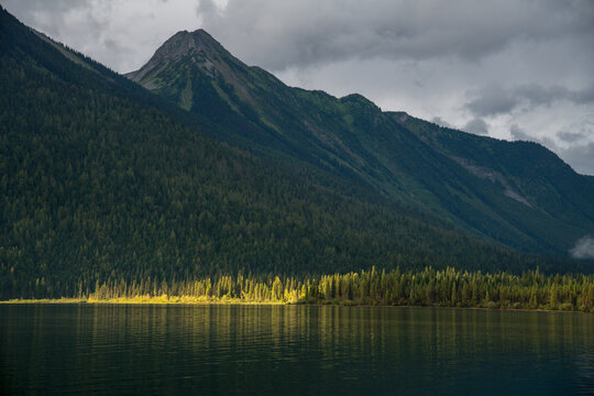 Canada, BC, Bowron Lake Provincial Park.  Afternoon light catches the trees on the side of Isaac Lake.  Bowron Lakes, on the western slopes of the Cariboo Mountains is a popular canoe circuit.