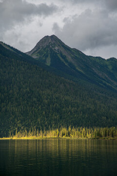 Canada, BC, Bowron Lake Provincial Park.  Afternoon light catches the trees on the side of Isaac Lake.  Bowron Lakes, on the western slopes of the Cariboo Mountains is a popular canoe circuit.