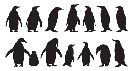 Penguin Silhouette Collection – Cute Arctic Birds Black Vector Icon Set © Rakib Rakib
