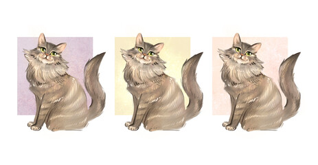 Set of fluffy gray cat illustrations in pastel frames on white background, cute longhair kitten pet collection, playful animal design, cozy decor , modern clipart for sticker, poster or postcard © Veronika Schrigen