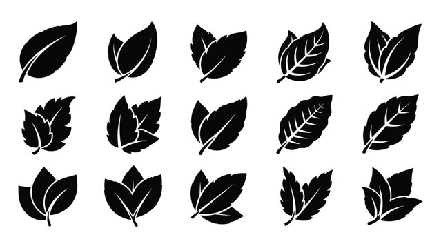 leaf icon silhouette vector illustration design