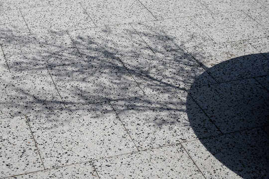 Shadows of bare branches and outdoor planter on light speckled paving stones, outdoor patio surface texture and natural light pattern