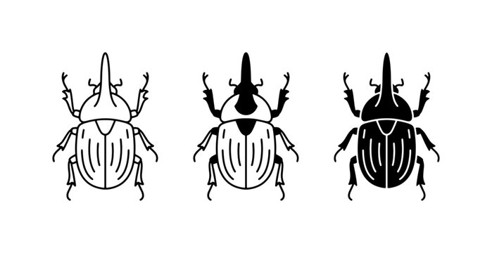 Set of Three Rhinoceros Beetle Illustrations, Vector Icons, Insect Silhouettes, Black and White Line Art, Entomology Graphics