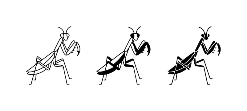 Praying Mantis Icons, Insect Vector Graphics, Minimalist Bug Illustrations, Black and White Arthropod Designs