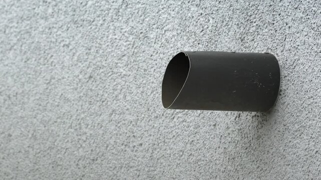 House sparrow sitting on the edge of a wall pipe, then taking off and flying to the left, 4K slow motion