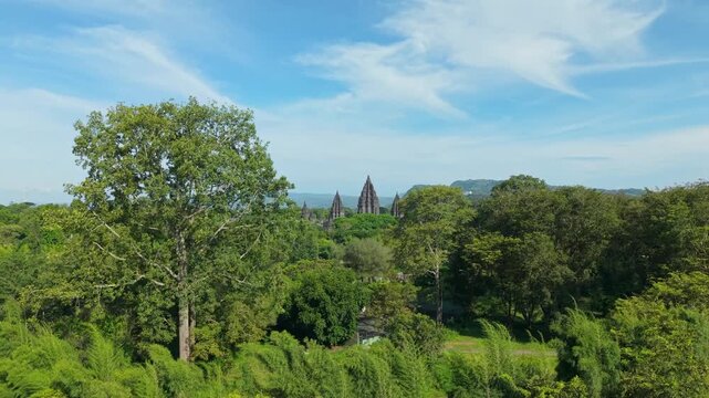 Aerial view of the ancient Prambanan Temple spires rising above a dense green forest under a blue sky in Kecamatan Prambanan, Daerah Istimewa Yogya, Indonesia.