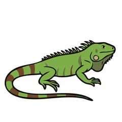 Fototapeta premium Green iguana walking on white background illustration