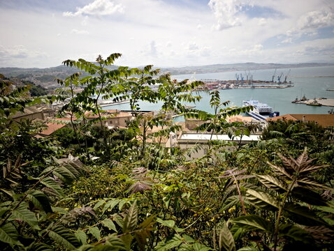 Scorcio panoramico dal Parco del Cardeto sulla rigogliosa vegetazione del colle e sul porto di Ancona con i cantieri navali sullo sfondo