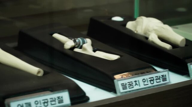 Titanium orthopedic implants on acrylic