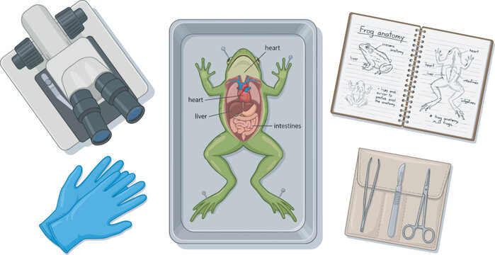 Biology workstation with microscope frog specimen and open textbook