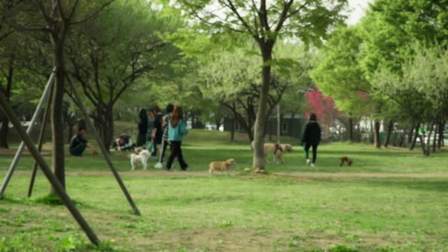 defocused street view at sunny summer day with people. Neural network generated image.