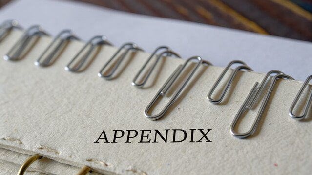 Close-Up View of Paper Clips Holding Pages on a Binder Folder