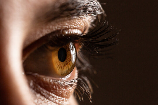 Human eye observing details with close-up macro vision