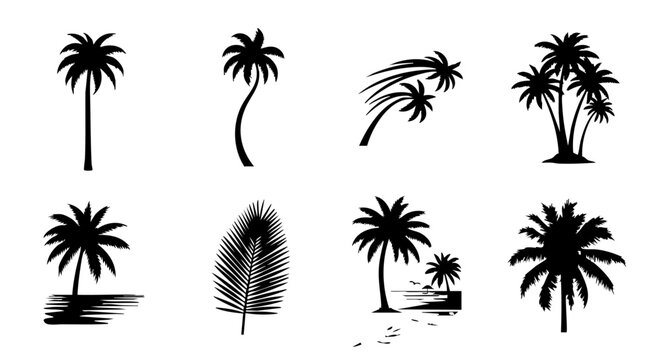 Palm Tree Silhouette Set Tropical Vector Illustration Beach Nature Landscape Tree Collection
